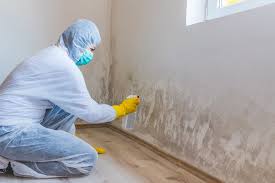 Environmental Consulting for Mold Prevention in Greenbriar, FL