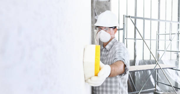 Mold Documentation for Insurance Claims in Greenbriar, FL